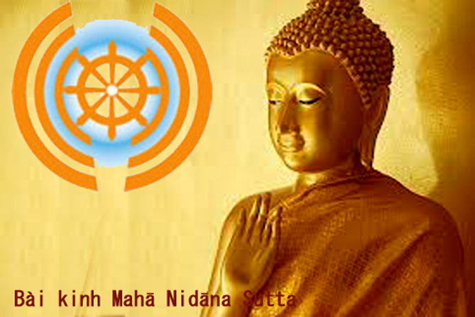 Bài kinh dài về các nguyên nhân chủ yếu